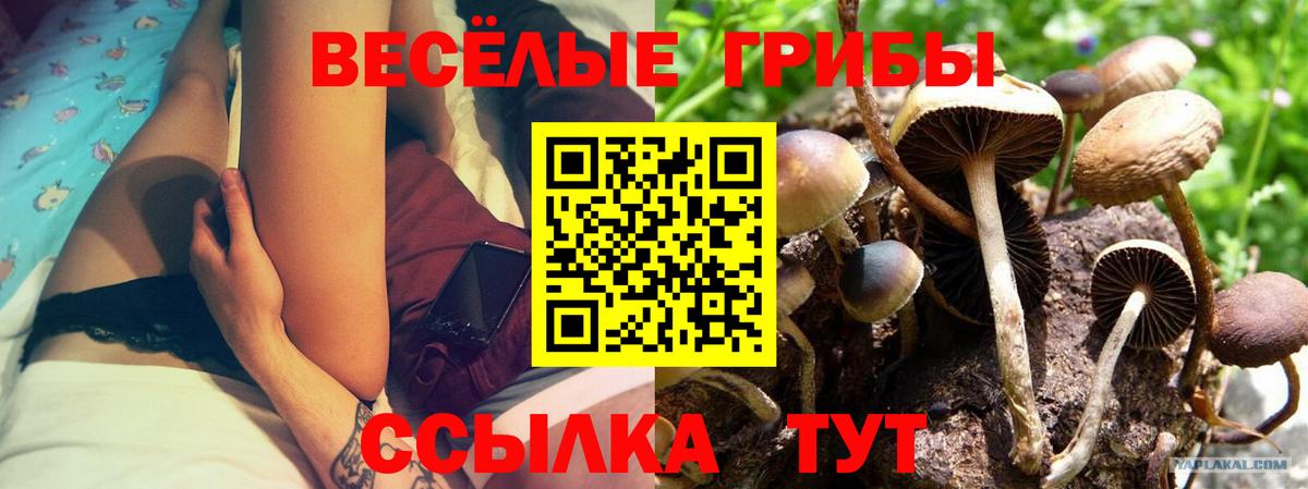 Псилоцибиновые грибы Cubensis  Галлюциногенные грибы Magic Shrooms  Вход с VPN  Кудымкар 